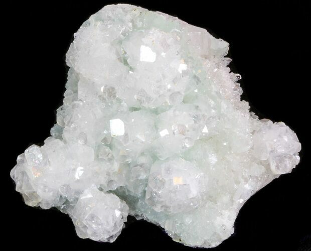 Apophyllite Crystals on Prehnite - India #39916